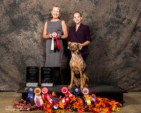Catahoula Leopard Dog Sun Melba Wooldridge 5