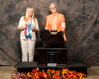 Havanese Sun S2 G2 Harold Kohlman
