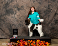 Poodle Sun S2 Mona Stilson 2