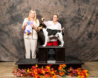Rat Terrier Sun S2 Yolanda Cunningham
