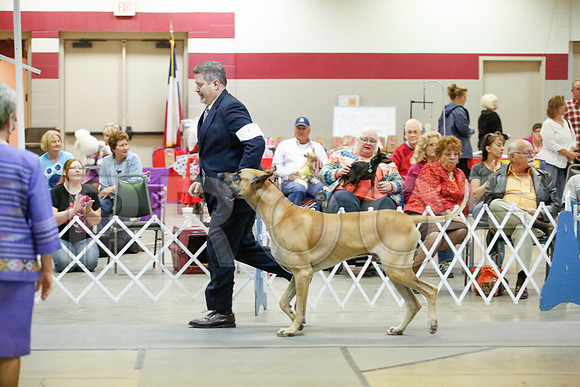 _JJ_0303-AmarilloSept2014-HR3