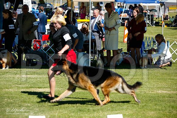 _JJ_5461-AlamogordoOct2014-HR3