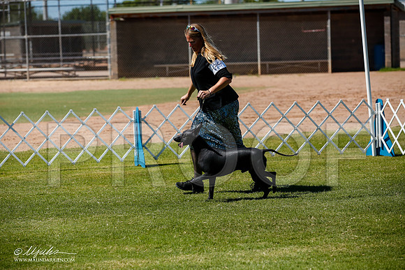 _JJ_8278-AlamogordoOct2014-HR3