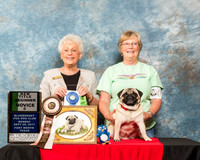 Pug #14 Mon Nov B New Title Lampkin Paul Jeanine Judge Lynn F Eggers