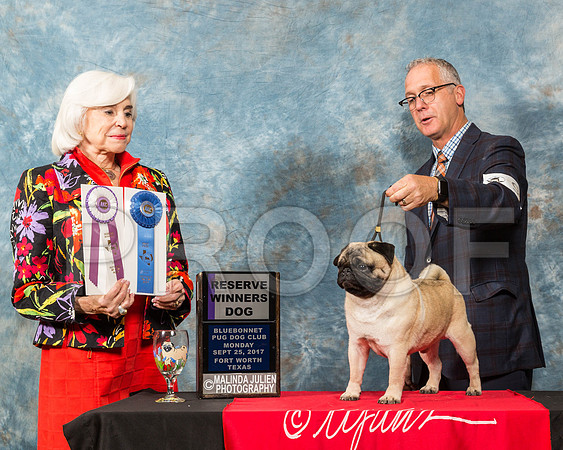 _ST_2196-PugNtls2017-HR3