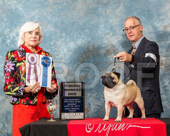 _ST_2198-PugNtls2017-HR3