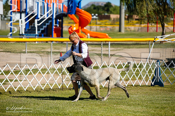 _JJ_9825-AlamogordoOct2014-HR3