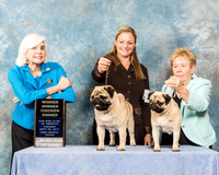 Pug #? Betty Lutzgo