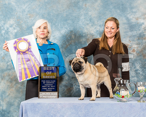 _ST_2268-PugNtls2017-HR3