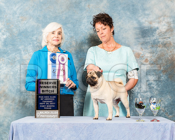 _ST_2247-PugNtls2017-HR3