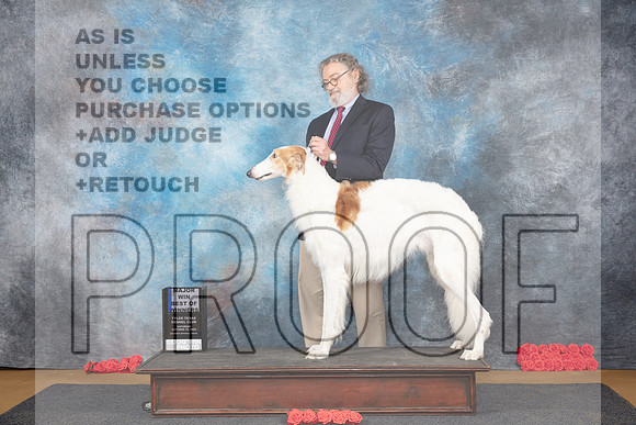 Borzoi #5 Sat WDBOWM Judge Sidney Marx__JP_0003_Sulphur Springs_2024_HR3