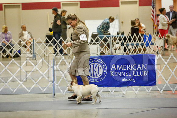 _JJ_8663-AmarilloSept2014-HR3