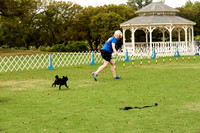 Pug #12015 ??? Wed Agility
