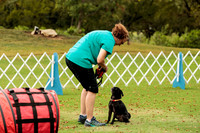 Pug #12015 Wed Agility Kimchi 5