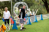 Pug #4005 Wed Agility Niner