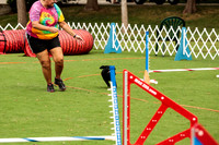 Pug #8009 Wed Agility Putter 3