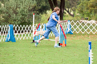 Pug #8014 Wed Agility Wyatt