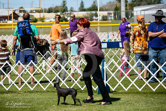 _JJ_8172-AlamogordoOct2014-HR3