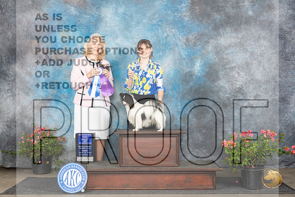Papillion #5 Sun WDBOW Judge Pamela Wilson__JP_6123_San Antonio_2024_HR3