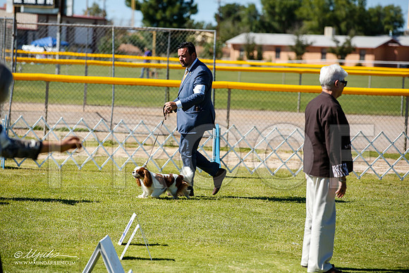 _JN_7288-AlamogordoOct2014-HR3