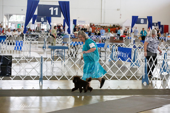 _JJ_4502-DallasJul2014-HR3