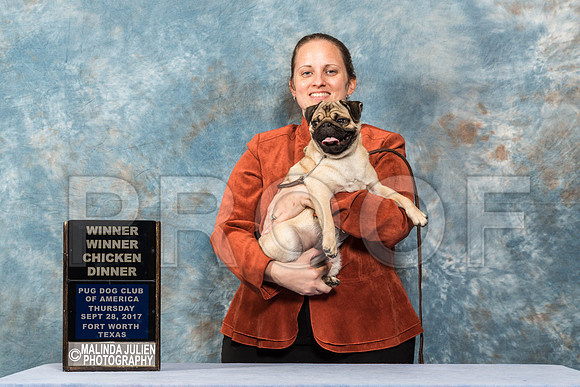 _ST_4400-PugNtls2017-HR3