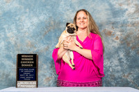 Pug #10 Fri Diana Clyburn CUSTOM 2