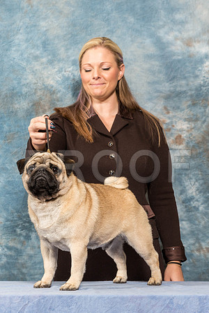 _ST_4474-PugNtls2017-HR3