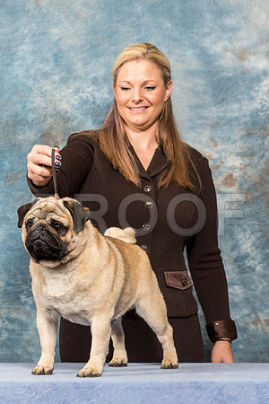 _ST_4479-PugNtls2017-HR3