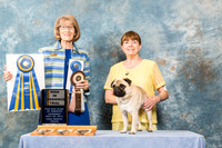 Pug #16 Fri HiT