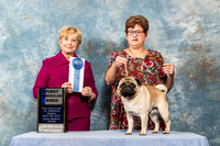Pug #89 Fri AMB