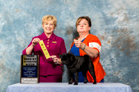 Pug #90 Fri 3rd Bred By