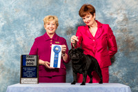 Pug #95 Fri Open Black