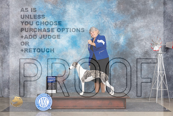 Whippet #9 Sat G1 Judge Pat Trotter__JP_5972_Amarillo_2024_HR3