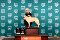 Mudi #130 Sat TDBOBWP Judge Tina Camp