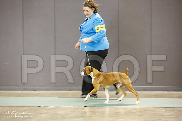 _JN_1637-BeltonJan2015-HR3