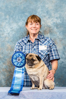 Pug #16 Sat 5th Agility