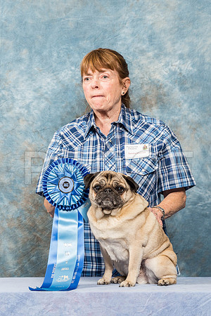 _ST_4578-PugNtls2017-HR3