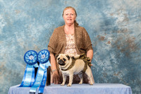 Pug #4 Fri JWW Top 5 Rally Agility