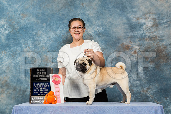_ST_4589-PugNtls2017-HR3