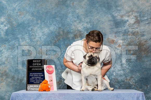 _ST_4591-PugNtls2017-HR3