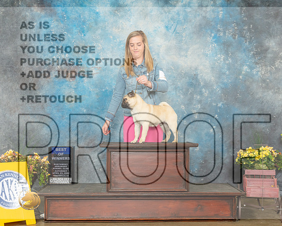 Pug #5 Sat BOW Judge Ray Filburn-MMJ_0748-NWARK2022-HR3