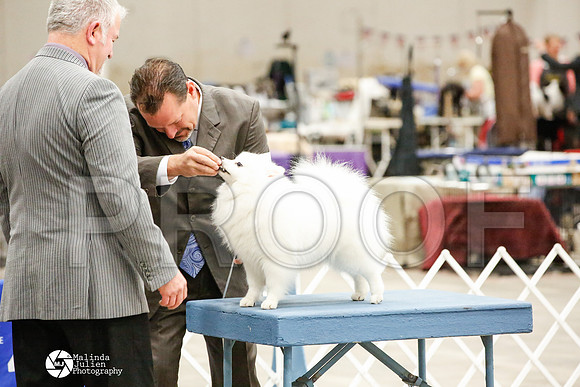_JJ_7159-AblnMay2014-web