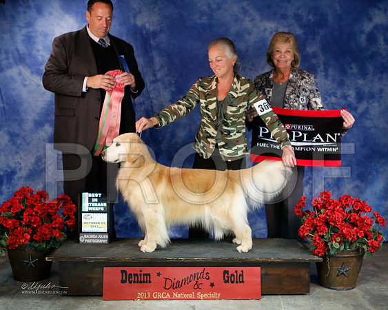 Vet-6243-WFOct2013-HR