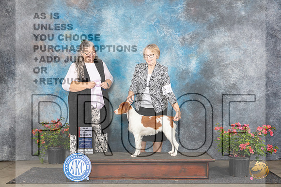 Brittany #22 Sat BOSSweeps Judge Rebecca Parchman__JP_5063_San Antonio_2024_HR3
