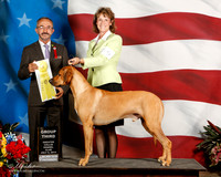 Rhodesian Ridgeback #9 Sun G3 Nelson Rebecca & David Judge R Rella