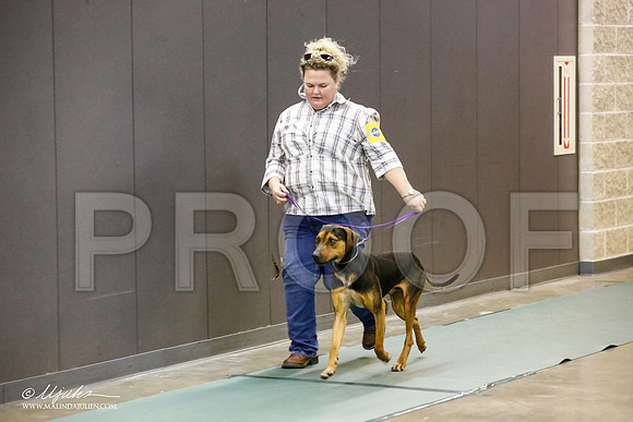 _JN_2630-BeltonJan2015-HR3
