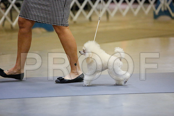 _JJ_2327-AmarilloSept2014-HR3