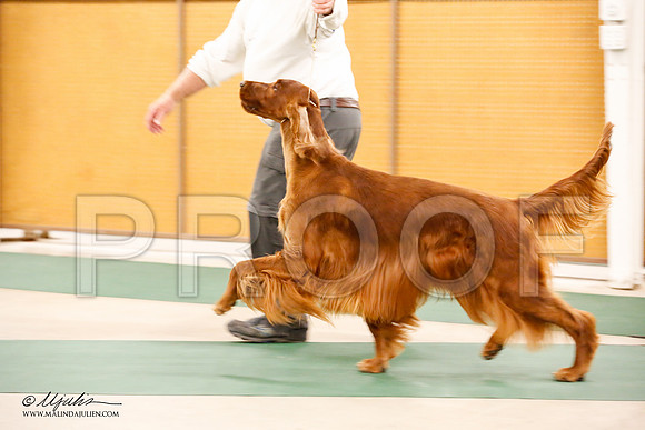 _JN_0886-NrmnNov2014-HR3