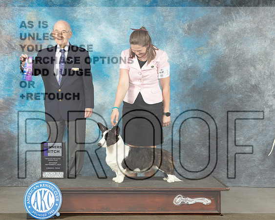 Cardigan Welsh Corgi #12 Sat WB Judge Ken Buxton-_JP_1196e-Lubbock2023_HR3